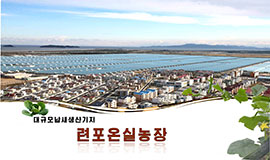 대규모남새생산기지 련포온실농장